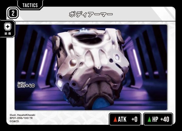 画像1: ボディアーマー (1)