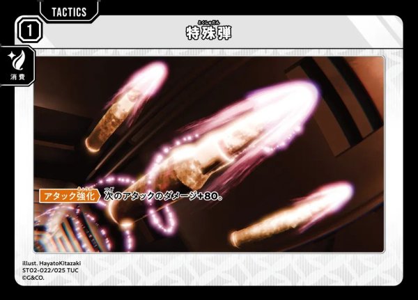画像1: 特殊弾 (1)