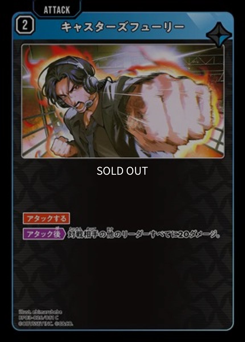 画像1: キャスターズフューリー (1)