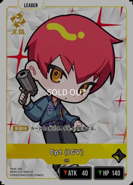 画像1: Cpt(IGV) (1)