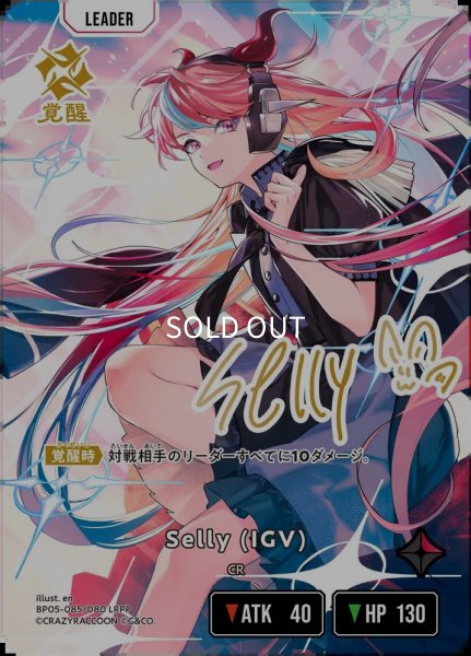 画像1: Selly (IGV) (1)